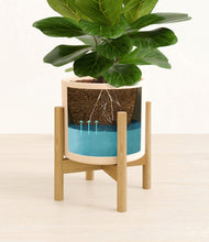 Load image into Gallery viewer, Cream stand:bamboo
