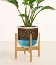Load image into Gallery viewer, Natural Bamboo stand:bamboo
