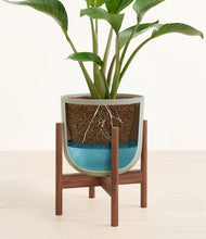 Load image into Gallery viewer, Sage Green stand:walnut

