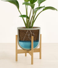 Load image into Gallery viewer, Sage Green stand:bamboo
