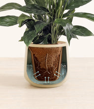 Load image into Gallery viewer, Almond Green stand:all
