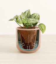 Load image into Gallery viewer, Hammered Peach Pink stand:all
