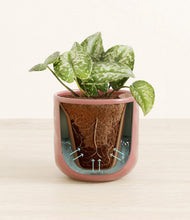 Load image into Gallery viewer, Hammered Rose Pink stand:all
