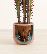 Lade das Bild in den Galerie-Viewer, Striped Rose Pink stand:all

