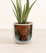 Load image into Gallery viewer, Snowdrift White stand:all
