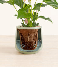 Load image into Gallery viewer, Turquoise stand:all
