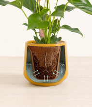 Load image into Gallery viewer, Mustard stand:all
