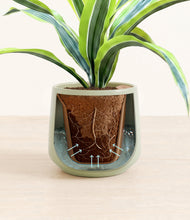 Lade das Bild in den Galerie-Viewer, Turquoise stand:all
