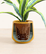 Lade das Bild in den Galerie-Viewer, Mustard stand:all
