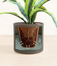 Lade das Bild in den Galerie-Viewer, Dark Olive stand:all
