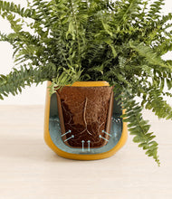 Lade das Bild in den Galerie-Viewer, Mustard stand:all
