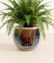 Load image into Gallery viewer, Desert Brown stand:all
