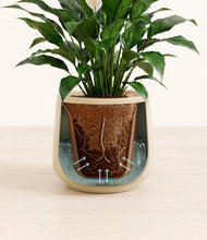 Load image into Gallery viewer, Almond Green stand:all
