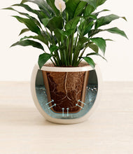 Charger l'image dans la galerie, Shiny EggWhite stand:all
