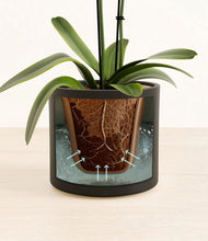 Load image into Gallery viewer, Black stand:all
