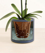 Load image into Gallery viewer, Deep Navy stand:all
