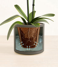 Load image into Gallery viewer, Dark Olive stand:all
