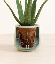 Load image into Gallery viewer, Turquoise stand:all
