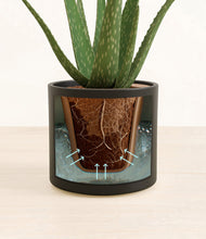 Load image into Gallery viewer, Black stand:all
