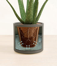 Load image into Gallery viewer, Dark Olive stand:all
