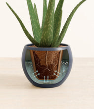 Load image into Gallery viewer, Deep Navy stand:all
