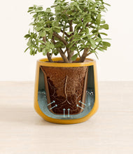 Load image into Gallery viewer, Mustard stand:all
