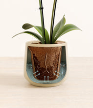 Load image into Gallery viewer, Almond Green stand:all
