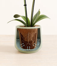 Load image into Gallery viewer, Turquoise stand:all
