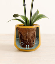 Load image into Gallery viewer, Mustard stand:all
