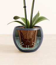 Load image into Gallery viewer, Deep Navy stand:all
