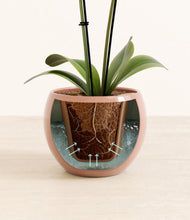 Load image into Gallery viewer, Calm Rose stand:all
