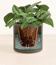 Charger l'image dans la galerie, Dark Olive stand:all
