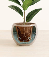 Load image into Gallery viewer, Desert Brown stand:all
