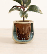 Load image into Gallery viewer, Almond Green stand:all
