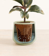 Load image into Gallery viewer, Turquoise stand:all
