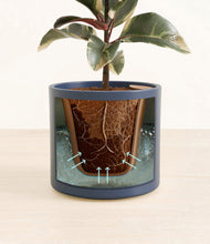 Load image into Gallery viewer, Deep Navy stand:all
