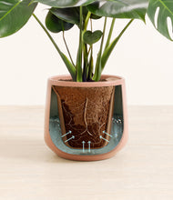 Lade das Bild in den Galerie-Viewer, Calm Rose stand:all
