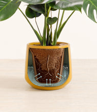 Lade das Bild in den Galerie-Viewer, Mustard stand:all
