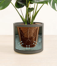 Lade das Bild in den Galerie-Viewer, Dark Olive stand:all
