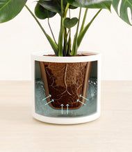 Lade das Bild in den Galerie-Viewer, White stand:all
