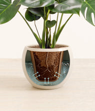 Lade das Bild in den Galerie-Viewer, Shiny EggWhite stand:all

