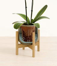 Load image into Gallery viewer, Olive stand:bamboo
