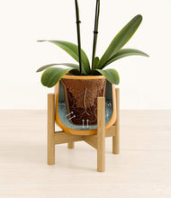 Load image into Gallery viewer, Mustard stand:bamboo

