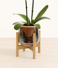 Load image into Gallery viewer, Calm Rose stand:bamboo
