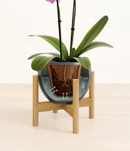 Load image into Gallery viewer, Deep Navy stand:bamboo
