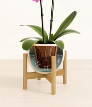 Load image into Gallery viewer, Shiny EggWhite stand:bamboo
