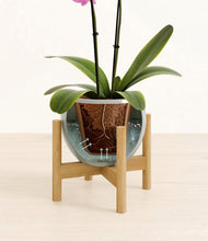 Load image into Gallery viewer, Deep Ocean stand:bamboo
