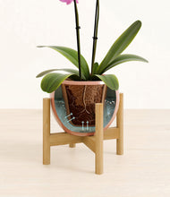 Load image into Gallery viewer, Calm Rose stand:bamboo
