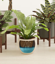 Load image into Gallery viewer, Woodland stand:four_stands
