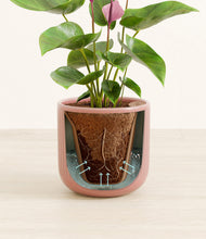 Load image into Gallery viewer, Striped Rose Pink stand:all
